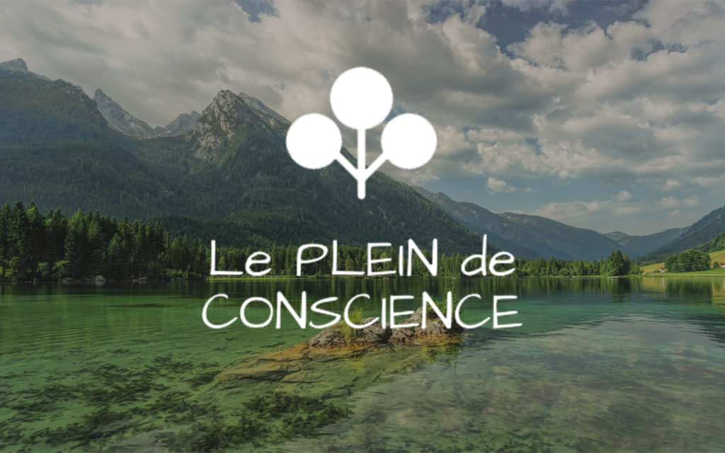 Le Plein de Conscience
